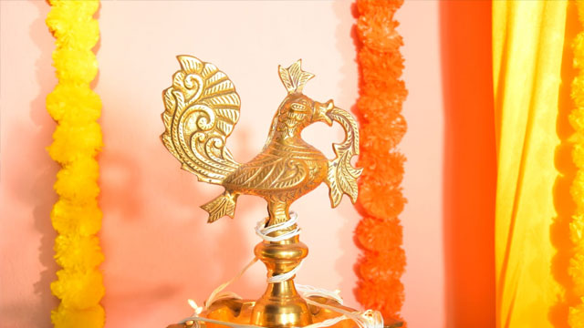 Lush Lawn and Premium Outdoor Event Venue